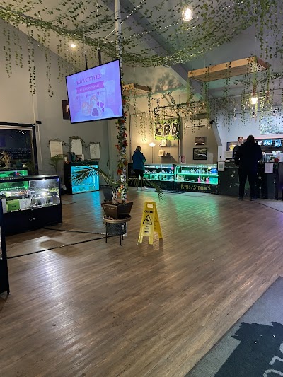 Bloom Weed Dispensary Kalispell