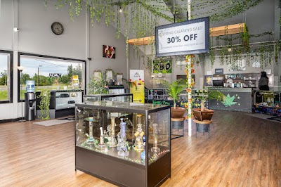 Bloom Weed Dispensary Kalispell