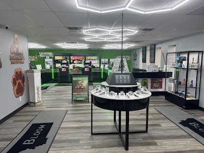 Bloom Weed Dispensary Sidney