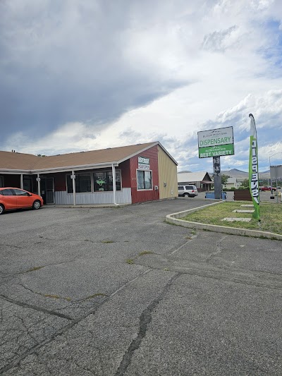 Bloom Weed Dispensary West Helena