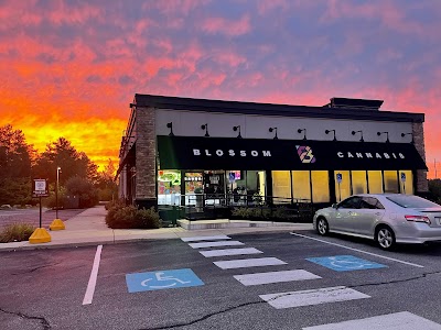 Blossom Cannabis (Medical)