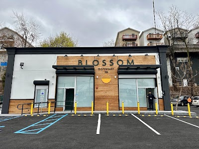 Blossom Dispensary