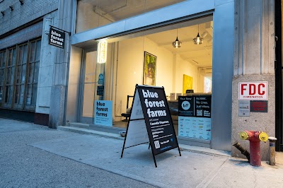 Blue Forest Farms Dispensary