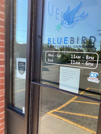 BlueBird Cannabis Almonte | Premium Recreational Cannabis Dispensary
