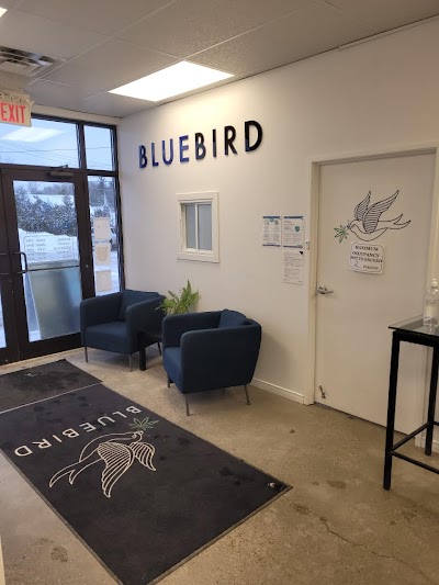 BlueBird Cannabis Almonte | Premium Recreational Cannabis Dispensary