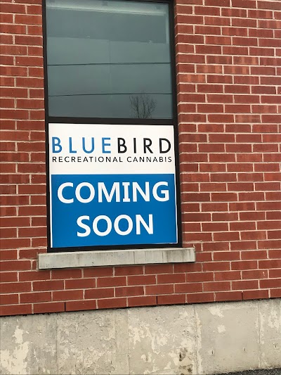 BlueBird Cannabis Almonte | Premium Recreational Cannabis Dispensary