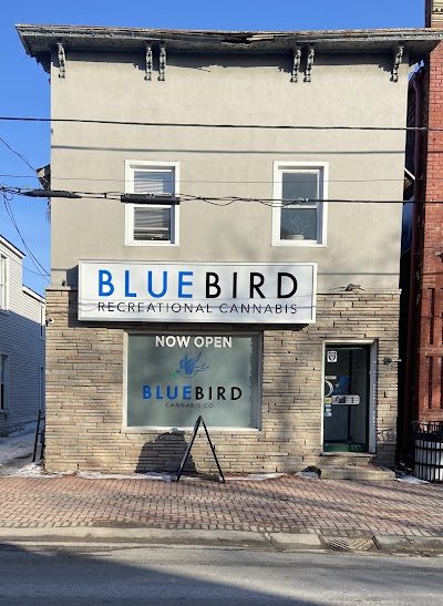 BlueBird Cannabis Almonte | Premium Recreational Cannabis Dispensary