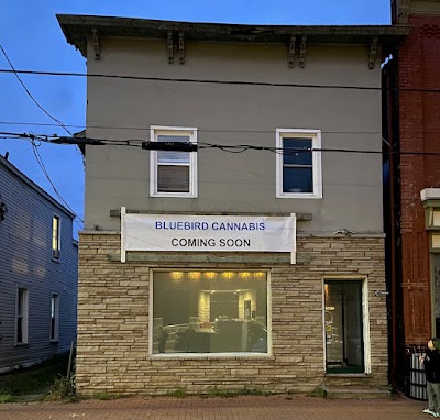 BlueBird Cannabis Almonte | Premium Recreational Cannabis Dispensary