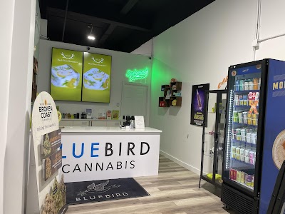 BlueBird Cannabis Centretown Ottawa | Recreational Dispensary