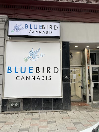 BlueBird Cannabis Centretown Ottawa | Recreational Dispensary