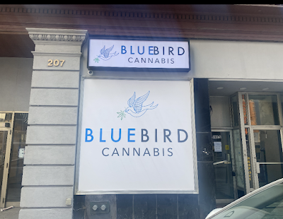 BlueBird Cannabis Centretown Ottawa | Recreational Dispensary