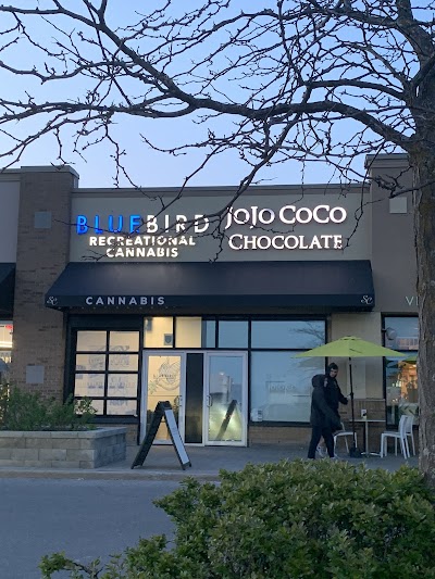 BlueBird Cannabis Kanata | Recreational Dispensary & Weed Store