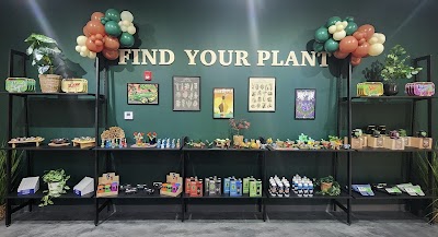 Botera Union Cannabis Dispensary