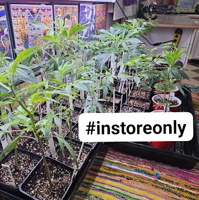 Boyman Acres Cannabis Farm and Medical Marijuana