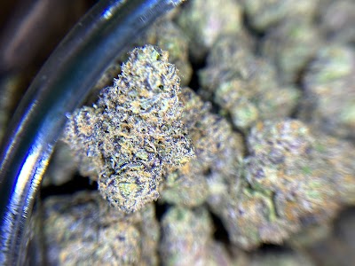 Breaking Bud Dispensary