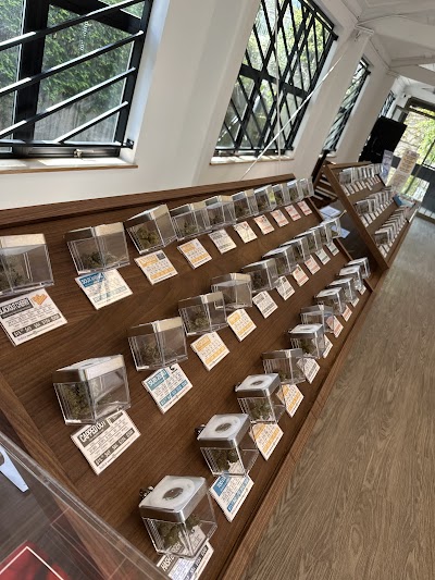 Broadway Cannabis Market