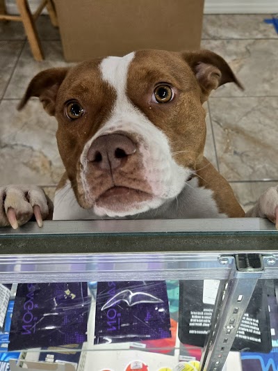 Bud Barn Retail Dispensary