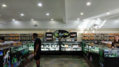 Bud Hut Everett - Marijuana - Pot