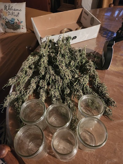 Budding Bar & Dispensary