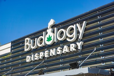 Budology