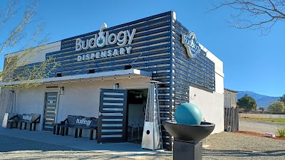 Budology