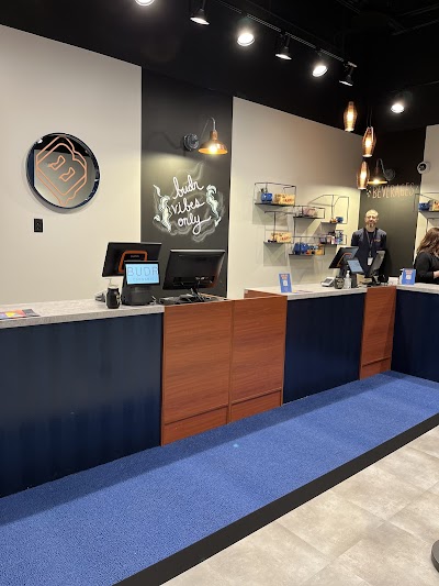 Budr Cannabis - Tolland