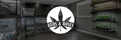 Buds & Roses