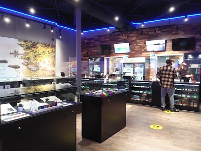 Bud's Cannabis Store