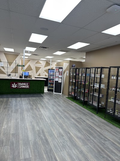 Budville Cannabis and Vape Store (Weed Store) - Portage La Prairie