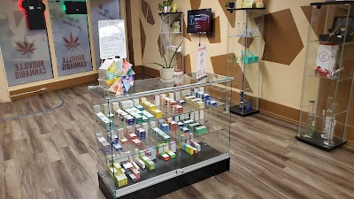 Budville Cannabis and Vape Store (Weed Store) - Portage