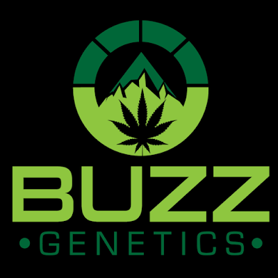 Buzz Genetics Helena