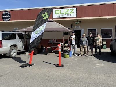 Buzz Genetics Helena