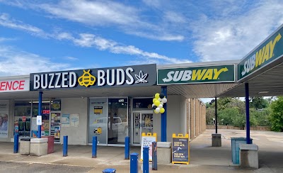 Buzzed Buds Cannabis Store Mississauga/Oakville