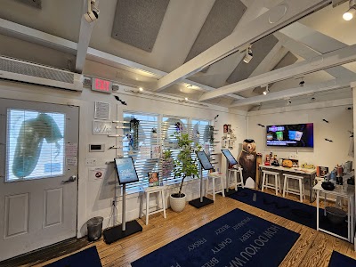 b\well Dispensary Provincetown