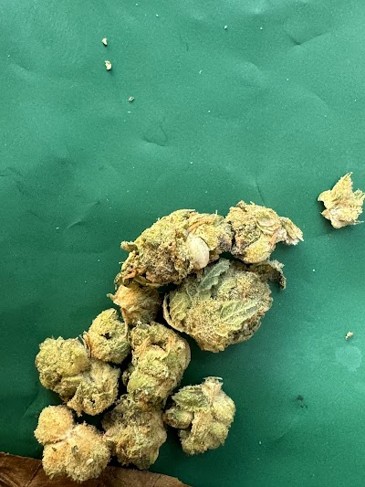 Caffiend The Bushwick Dispensary