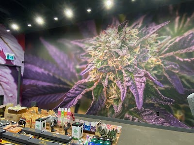 Calyx + Trichomes Cannabis