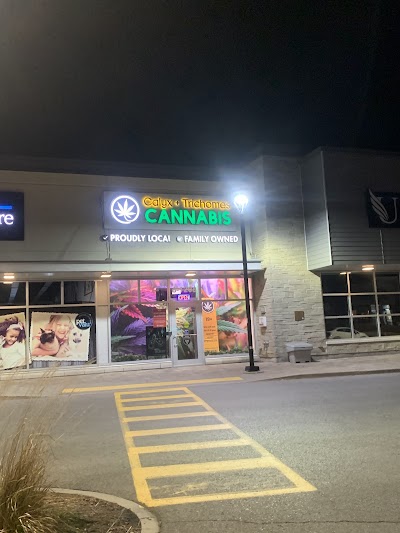 Calyx + Trichomes Cannabis