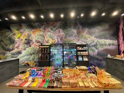 Calyx + Trichomes Cannabis