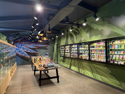 Calyx + Trichomes Cannabis