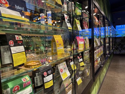 Calyx + Trichomes Cannabis