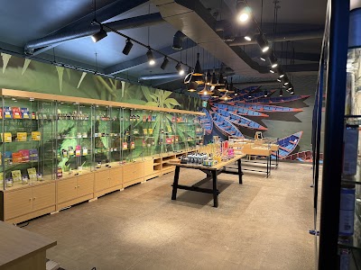 Calyx + Trichomes Cannabis