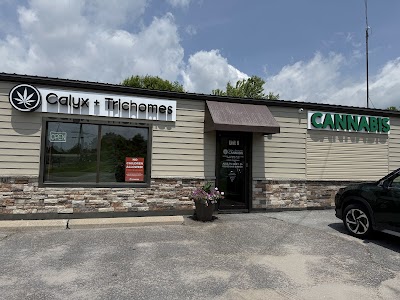 Calyx + Trichomes Cannabis