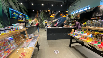 Calyx + Trichomes Cannabis