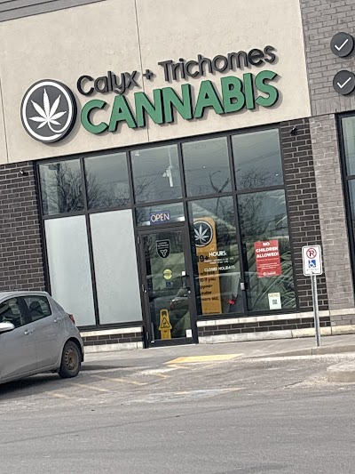 Calyx + Trichomes Cannabis