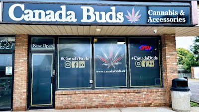 Canadá Buds St. Catharines
