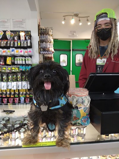 Canna4Life Cannabis Dispensary