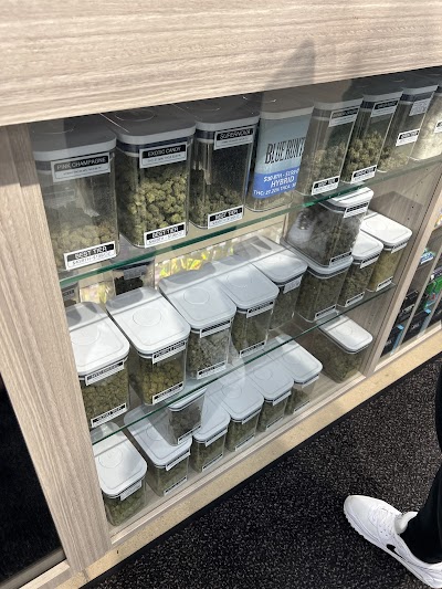 Cannabis Club Dispensary