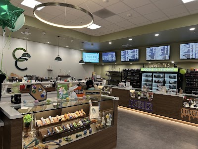 Cannabis Connection Weed Dispensary West Springfield