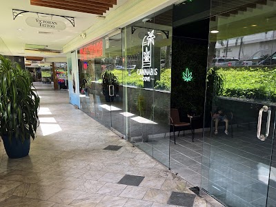 Cannabis Cove Hawaii