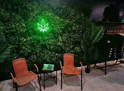 Cannabis Cove Hawaii